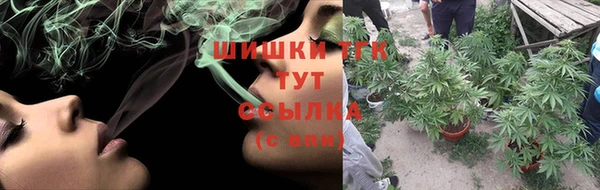 ПСИЛОЦИБИНОВЫЕ ГРИБЫ Снежногорск