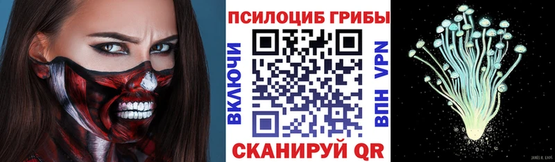 Псилоцибиновые грибы Cubensis  Котово 